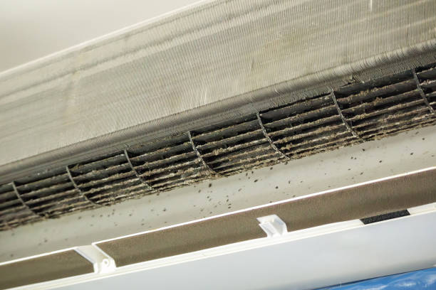 Best Air Duct Cleaning Near Me  in Lake Pocotopaug, CT