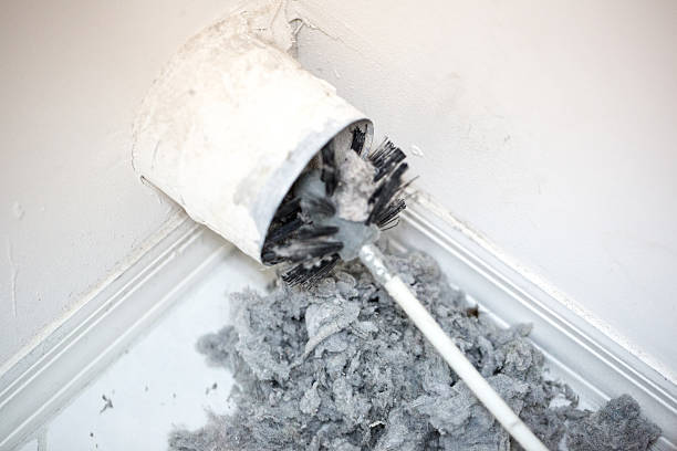Best Professional Duct Cleaning Services  in Lake Pocotopaug, CT
